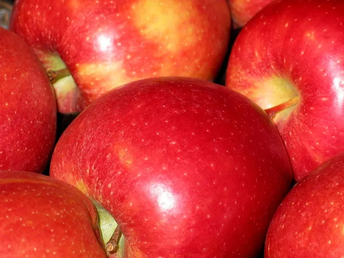 堆，苹果水果，黑板苹果，苹果，面包，水果，水果stiege，健康