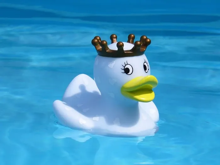 浴鸭，安静的，橡皮鸭，游泳，有趣的夏天，皇后，有趣的洗澡，蓝色