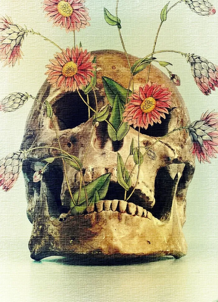 死亡，骷髅，花朵，短暂，骨头，骷髅，黑暗，头
