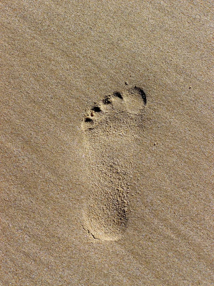 脚印，脚印，沙子，沙子里的脚印，沙子里的脚印，海滩，动物的脚印，爪子印