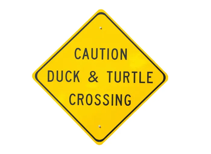 小心鸭子，&，海龟，十字路口，标牌，鸭子和海龟，十字路口标志，小心