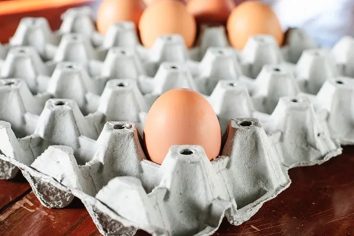 精选，聚焦照片，棕色，鸡蛋，灰色，鸡蛋托盘，鸡蛋，食物