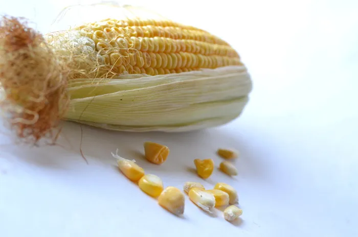 玉米，玉米，蔬菜，谷物，有机，收获，营养，素食