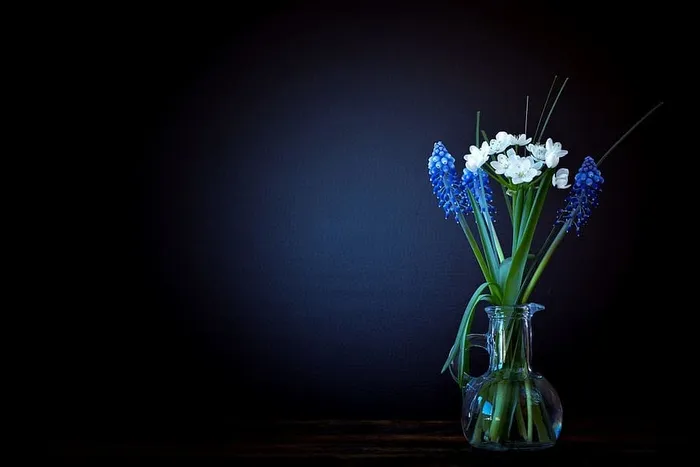 白色，蓝色，葡萄风信子花饰，花朵，花瓶，玻璃，韭菜花，风信子