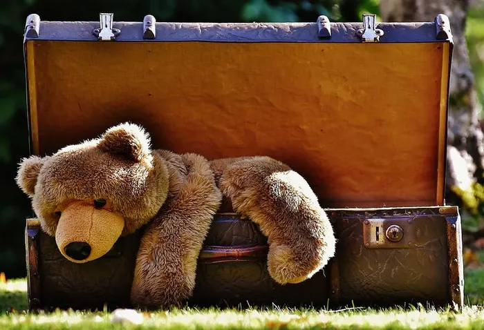 棕色，熊，毛绒，玩具，黑色，汽船行李箱，行李，古董