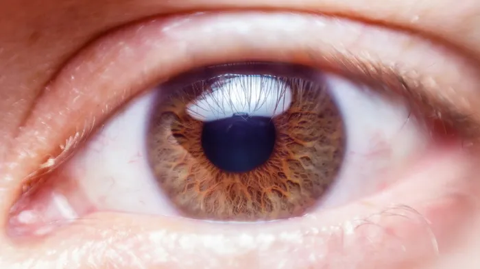 眼睛，人，自然，视觉，视网膜，晶状体，视力，菜鸟图库