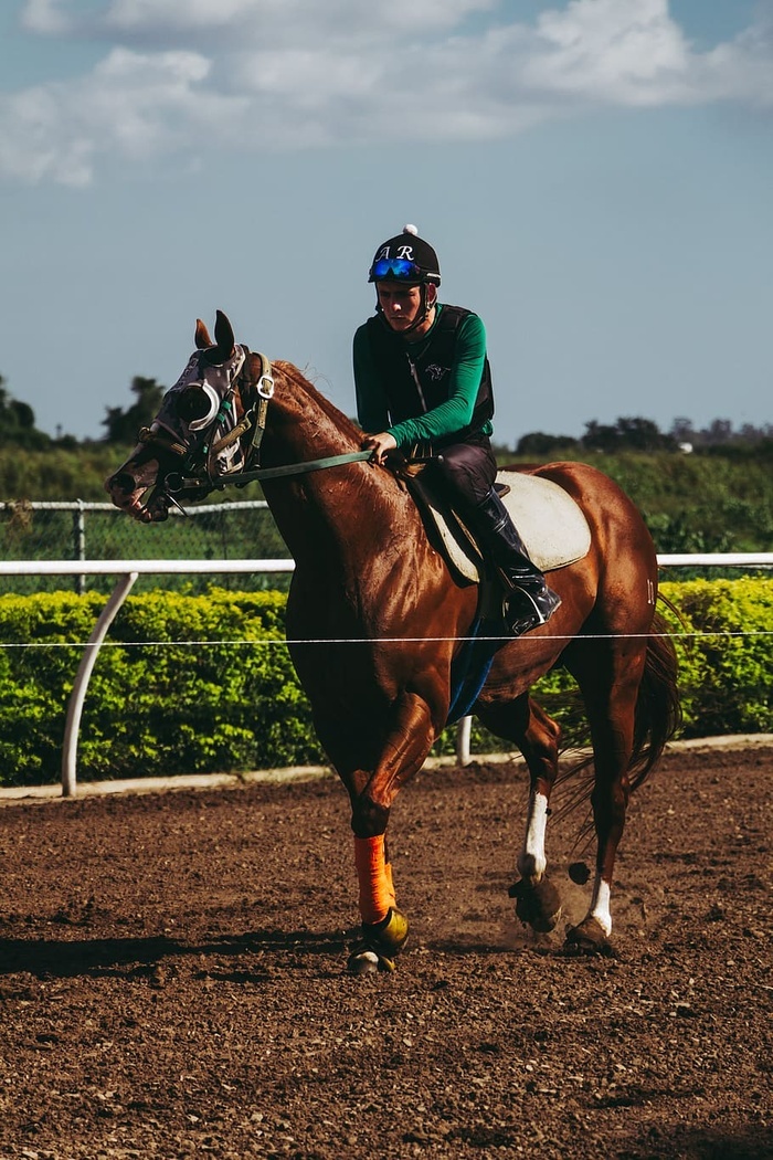 阳光下骑马的人