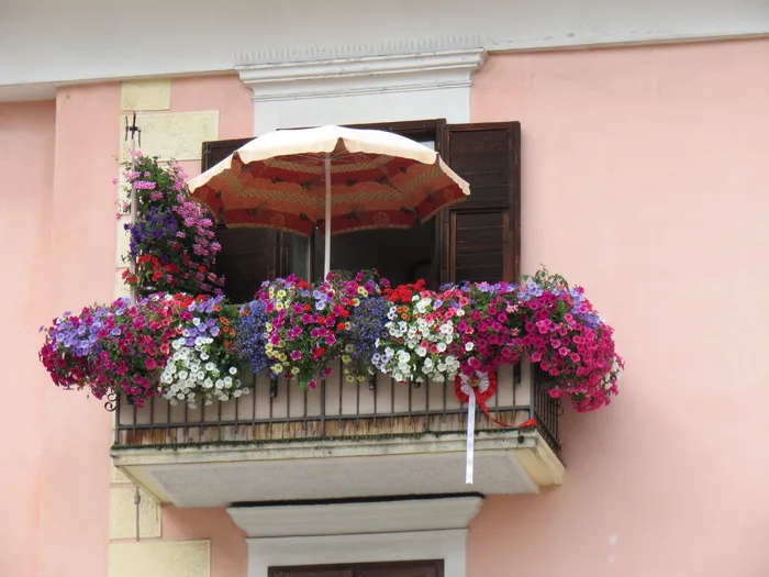 阳台，花卉，装饰，门，颜色，装饰门，南蒂罗尔，建筑