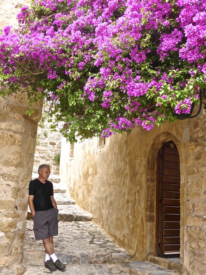 思考 放松 鲜花 沉思 平和 平静 人 平和 菜鸟图库