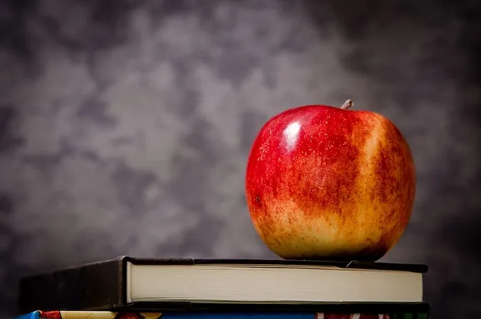 苹果，课本，书，课堂，教室，学校，老师，学习