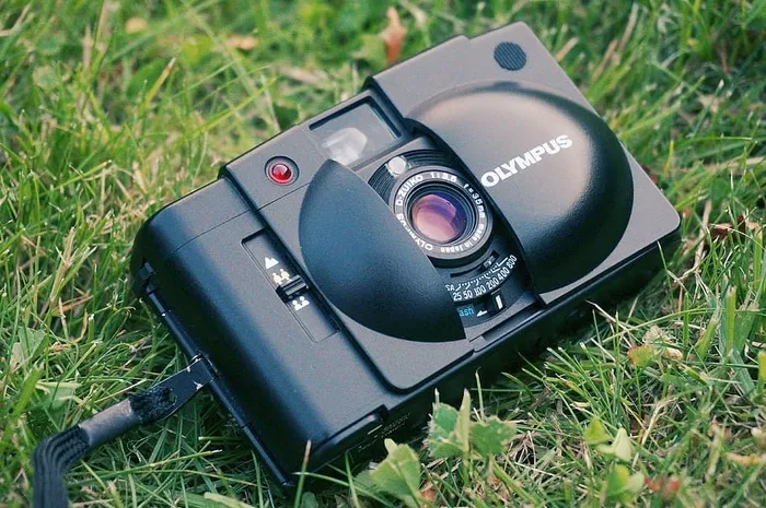 黑色奥林巴斯相机，数码相机，相机，镜头，摄影，绿色，草地，户外