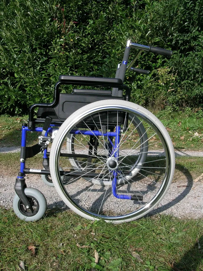 轮椅，残疾人，轮椅，残疾人，残疾人辅助设备，车轮，草地，不同能力，户外