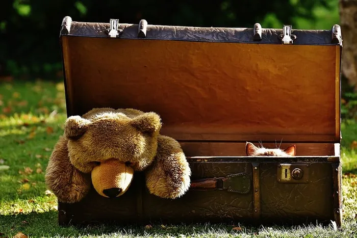 棕色，熊，毛绒，玩具，木制，箱子，行李，古董