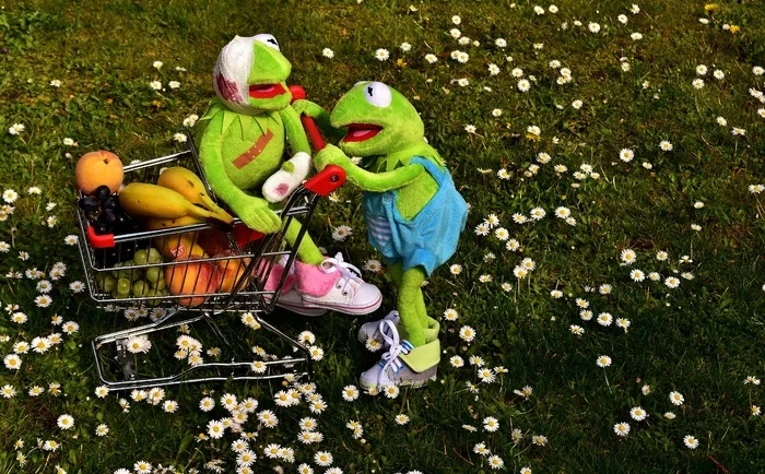 购物，水果，健康，克米特，青蛙，购物车，维生素，水果