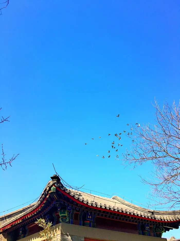 北京大学、香港学院、风景、天空、建筑、建筑结构、蓝色、低角度视图