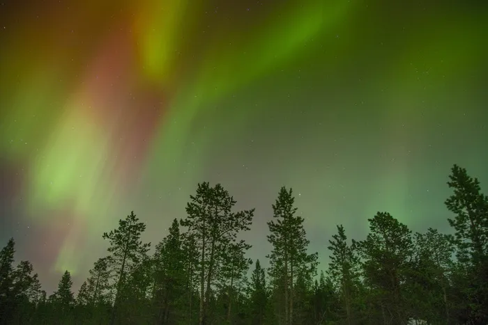 绿色北极光，北极光，北极光，北极光，灯光，风景，天空