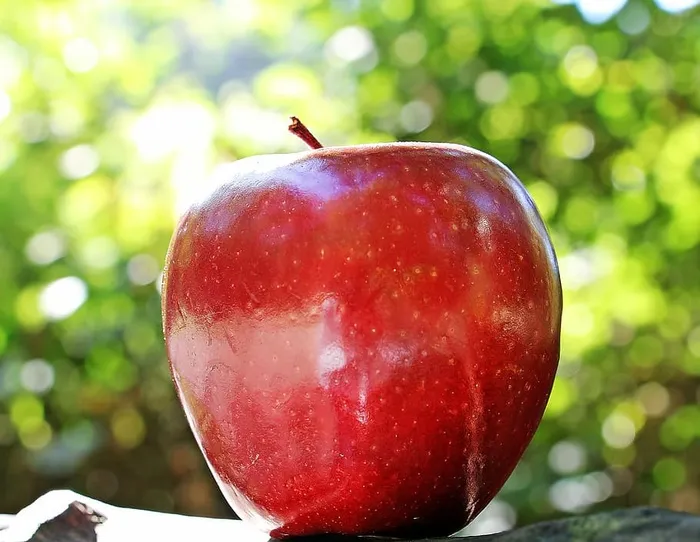 特写，照片，红，苹果，红苹果，红酋长，水果，弗里希
