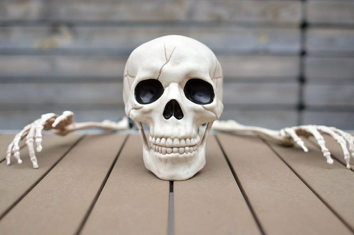 美国皇家橡树万圣节恐惧恐怖幽灵骷髅十月