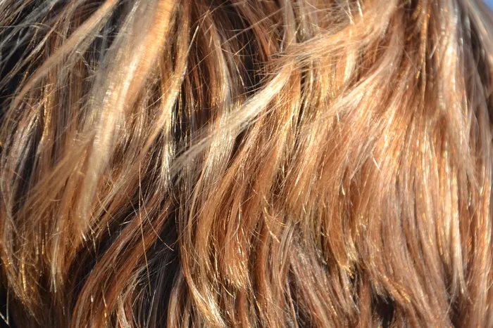 棕色，头发特写照片，头发，发丝，美女，女人，美丽的头发，染色