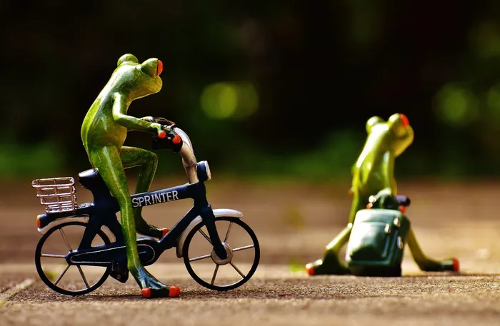 绿青蛙，青蛙，再见，自行车，手推车，旅行，可爱，青蛙
