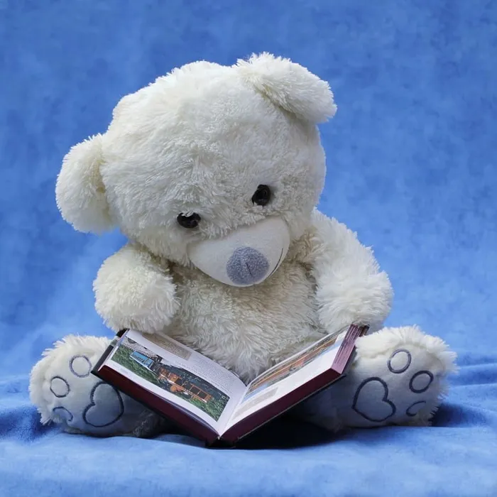 白色泰迪熊与打开的书的照片