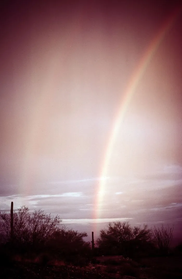 亚利桑那州日落时萨瓜罗仙人掌上的彩虹