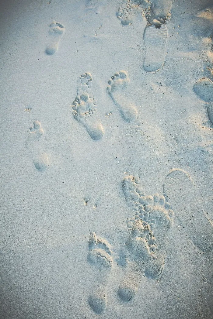 海滩沙滩脚印照片
