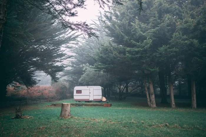 白色旅行拖车靠近绿叶树木的照片，雾弥漫