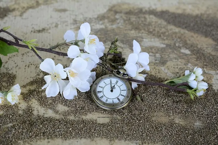 圆形银色口袋，手表，白色，花朵，沙子，怀表，时间，世界地图