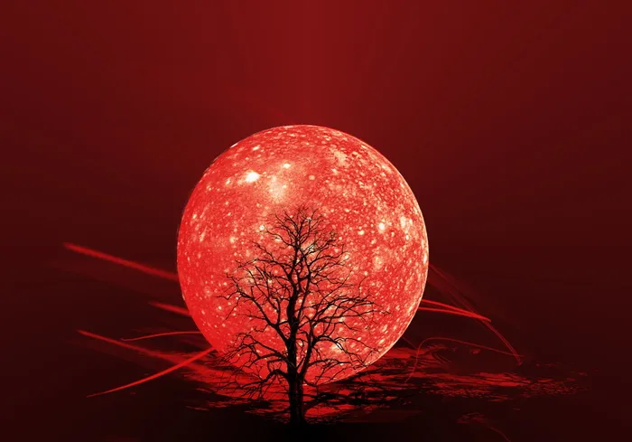 裸, 树, 前面, 红色, 月亮图, 背景, 月亮, 壁纸