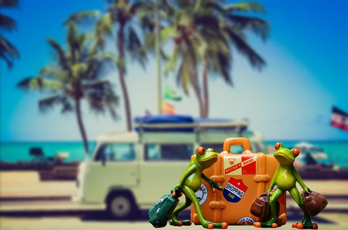 绿色，玩具青蛙，橙色，手提箱壁纸，假日，行李，棕榈树
