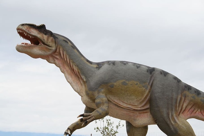 爬行动物,恐龙,动物,自然,动物世界,古生物学,史前,怪物