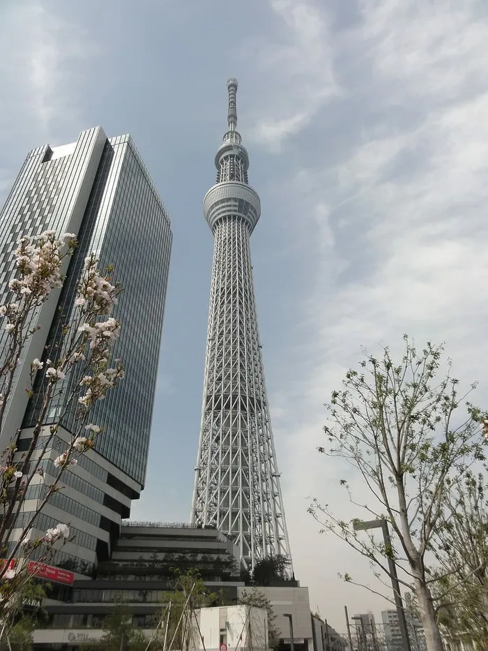 东京，日本，天树，东京，日本，建筑，摩天大楼，塔，天空