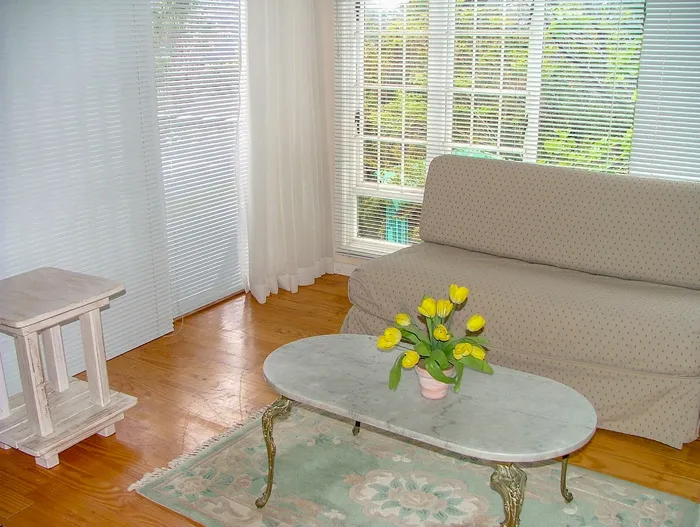 咖啡桌，大理石咖啡桌，桌子，沙发，休息室，花，花盆，盆栽