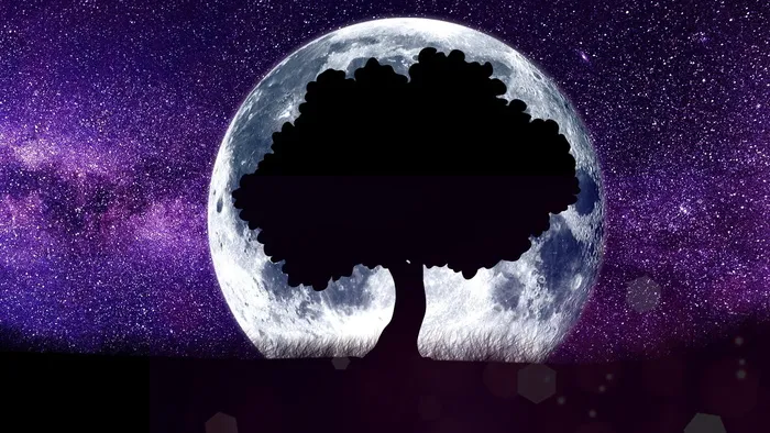 剪影，树，后面，月亮插图，月亮，天文学，无人，行星