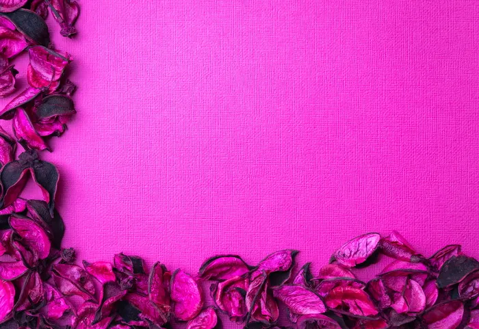 粉红色纺织品上的粉红色花朵照片