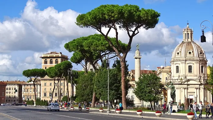 绿色，树叶树，圆顶建筑，白天，意大利，罗马，建筑，古董