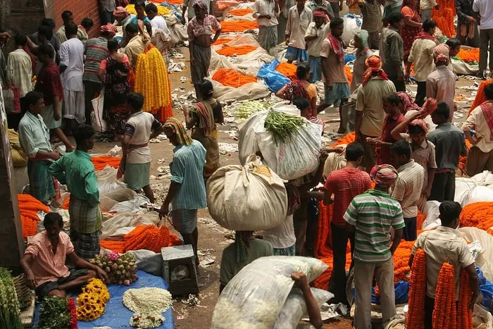 印度，加尔各答，市场，人口，贫困，生活方式，销售，鲜花