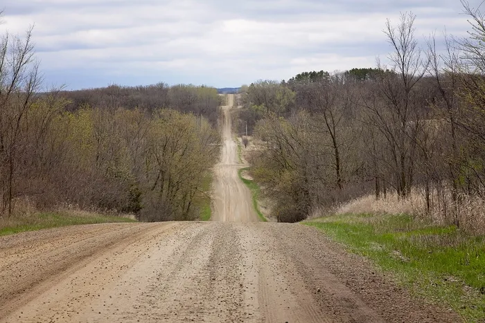 狭窄、棕色、道路、树木、乡村道路、土路、山路、前进之路