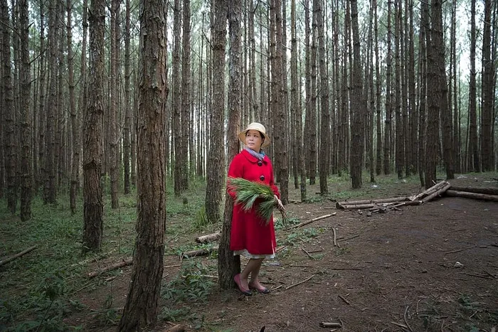 在树林中间穿红色外套的女人