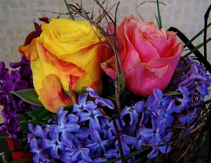 五颜六色，花束，黄色，粉色，玫瑰，五颜六色的花束，黄色和粉色的玫瑰，蓝色风信子