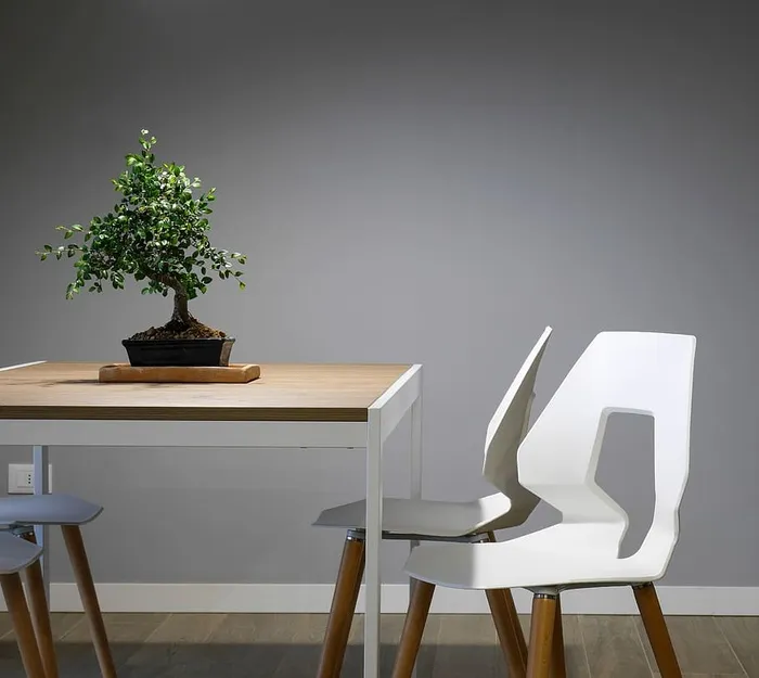 室内、设计、桌子、椅子、家具、绿化、植物、墙壁