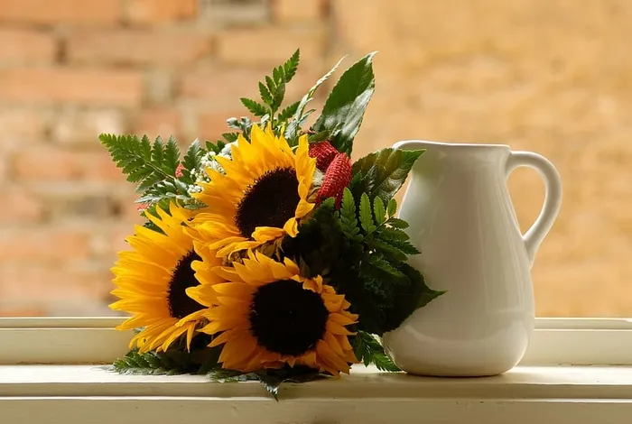 黄色，向日葵花束，旁边，白色，陶瓷，水罐，窗户，向日葵