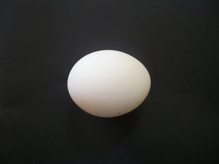 白鸡蛋，鸡蛋，分离，鸡蛋，白，食品，简单，天然