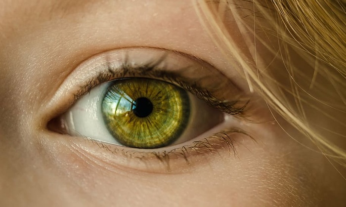 黄种人的眼睛什么颜色图片