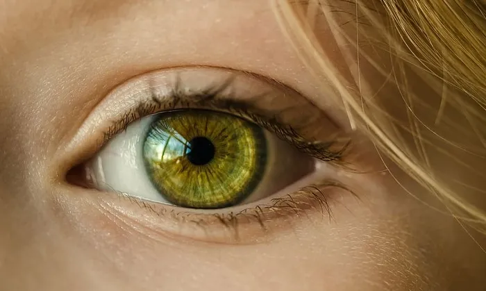 人类黄眼睛，眼睛，绿眼睛，特写，宏观，女孩，年轻，绿色