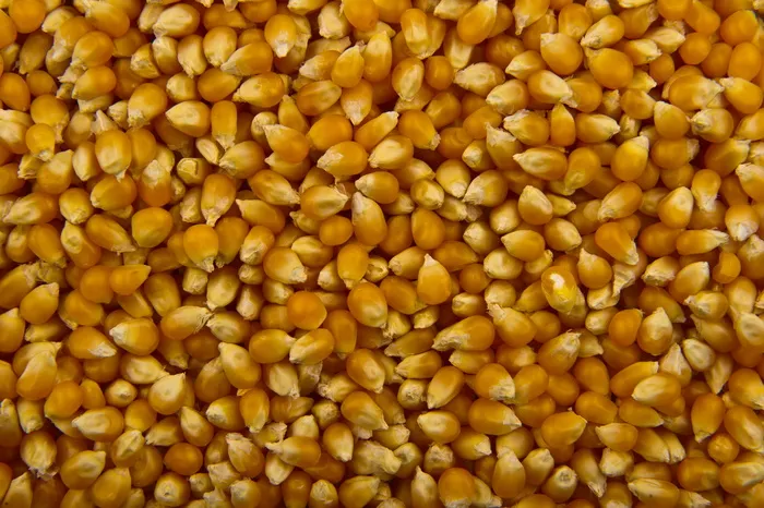 玉米片，食品，爆米花，橙色，天然，食用，黄色，种子