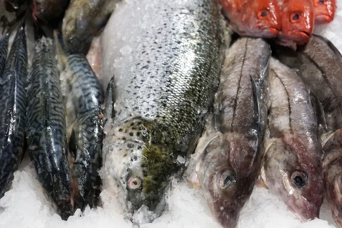鱼，食用，市场，健康，欧米茄，脂肪，皮肤，钓鱼