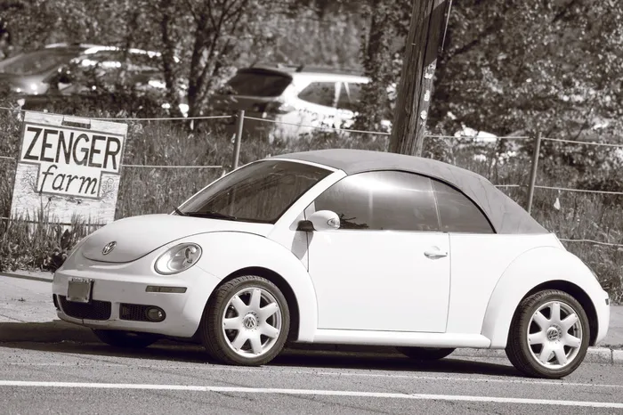 汽车，背面和白色，汽车，运输，汽车，汽车，后部，前部