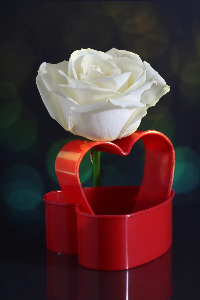 玫瑰, 白, 心, 红色, 心形, 爱情, 感情, 浪漫